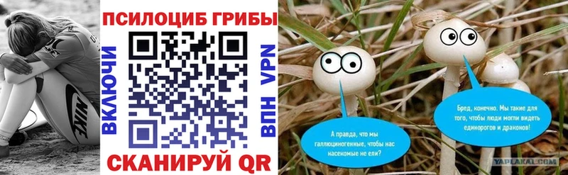 Купить закладки  Чулым  Галлюциногенные грибы MAGIC MUSHROOMS 